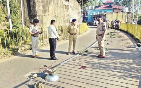 सीवान में दिनदहाड़े हत्या, सड़क विवाद ने ली जान, जांच में जुटी पुलिस