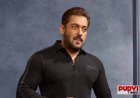“60 का हूं, लड़ना नहीं भूला…” ट्रैफिक सिग्नल पर पैपराजी पर भड़के  सलमान खान, वायरल हुआ वीडियो