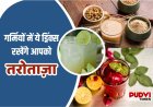 भीषण गर्मी में राहत दिलाएंगे ये देसी ड्रिंक्स, नौतपा में जरूर आजमाएं ये आसान उपाय
