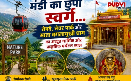 मंडी का छुपा स्वर्ग: रोपवे, नेचर पार्क और माता बगलामुखी धाम क्यों नहीं मिलती इस खूबसूरत पर्यटन स्थल को वह पहचान जो इसे मिलनी चाहिए?