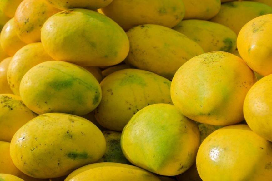 नूरजहां से इमाम पसंद तक: देश के ये रेयर आम स्वाद और आकार में हैं खास