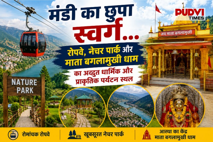 मंडी का छुपा स्वर्ग: रोपवे, नेचर पार्क और माता बगलामुखी धाम क्यों नहीं मिलती इस खूबसूरत पर्यटन स्थल को वह पहचान जो इसे मिलनी चाहिए?