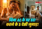 भीषण गर्मी में AC को कहें अलविदा! ₹1000 से कम में ये 5 देसी जुगाड़ बनाएंगे घर को ‘मिनी कूलर’, तंदूर जैसी गर्मी से मिलेगी राहत