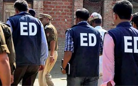 AAP नेता संजीव अरोड़ा केस में ED का बड़ा एक्शन, दिल्ली-नोएडा समेत कई शहरों में ताबड़तोड़ छापेमारी