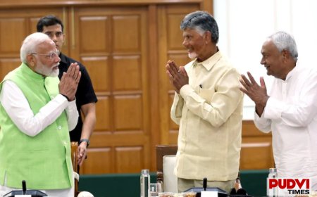 35 दल, 75 नेता और मुख्यमंत्रियों का जमावड़ा, पीएम मोदी के रिकॉर्ड कार्यकाल का महाजश्न, तय होगा भविष्य का एजेंडा