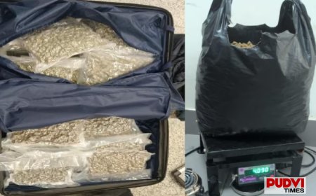 बेंगलुरु एयरपोर्ट पर 13 करोड़ रुपये का हाइड्रोपोनिक गांजा जब्त, बैंकॉक से आए 6 यात्री गिरफ्तार