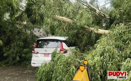 दिल्ली-गुरुग्राम में झमाझम बारिश, तेज हवाओं का कहर! ईस्ट ऑफ कैलाश में गाड़ियों पर गिरा पेड़