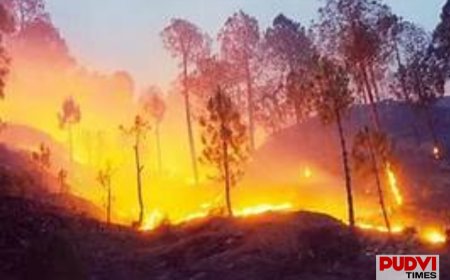 पेरिस के दक्षिण में धधक रही भीषण जंगल की आग, मंत्री बोले- जानबूझकर लगाई गई हो सकती है आग