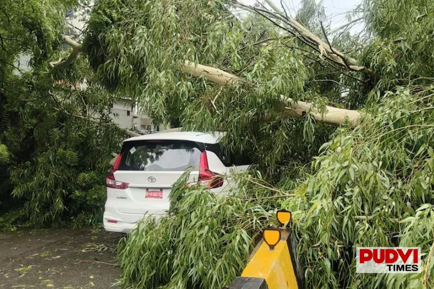 दिल्ली-गुरुग्राम में झमाझम बारिश, तेज हवाओं का कहर! ईस्ट ऑफ कैलाश में गाड़ियों पर गिरा पेड़