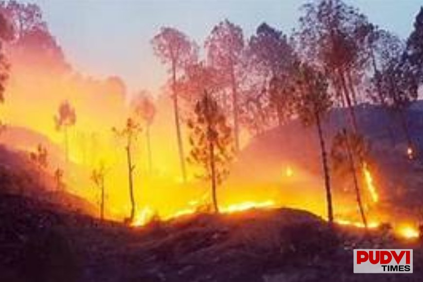 पेरिस के दक्षिण में धधक रही भीषण जंगल की आग, मंत्री बोले- जानबूझकर लगाई गई हो सकती है आग