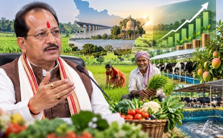 बिहार में किसानों की कमाई कैसे बढ़ेगी? कृषि मंत्री विजय सिन्हा ने बताया पूरा प्लान